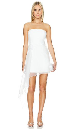 Mandy Rose Dress in . Taglia L, S, XS - Amanda Uprichard - Modalova