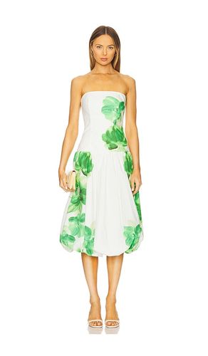 Tivoli Dress in . Size L. Also in M, S, XL, XS - Amanda Uprichard - Modalova