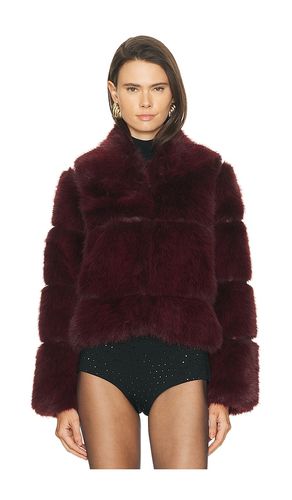 Sai Sable Coat in . Size S. Also in XXS, M - Apparis - Modalova