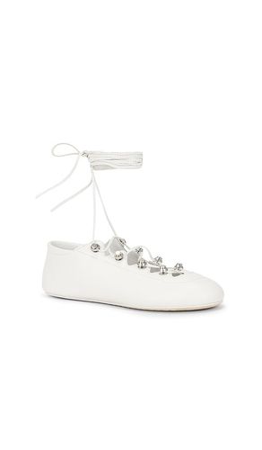 Vyolette Lace Up Flat in . Size 36. Also in 39, 40, 41 - Alexander Wang - Modalova