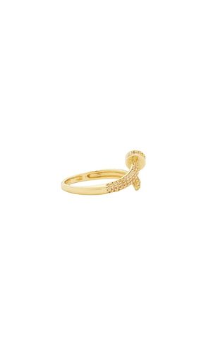 Nail ring in color metallic size all - BRACHA - Modalova