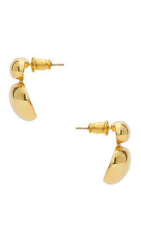 Gold Pebble Studs in - BRACHA - Modalova