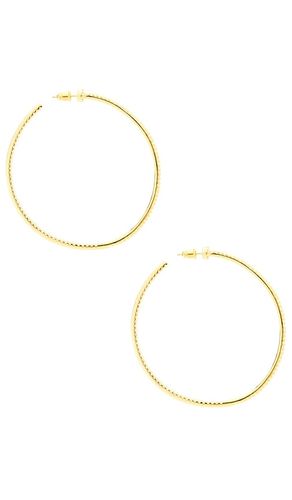 Wildside hoops in color metallic size all - BRACHA - Modalova