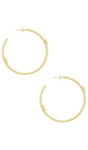 Delta Hoops Eaarrings in - BRACHA - Modalova
