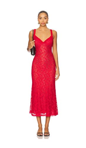Alegra Stretch Lace Midi Dress in . Size 2. Also in 4 - Bardot - Modalova