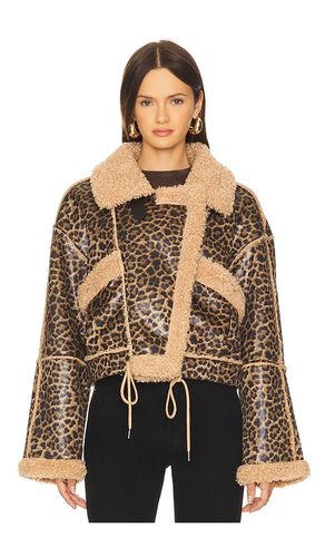 Bonded moto jacket in in color brown size M (also in L) - BLANKNYC - Modalova