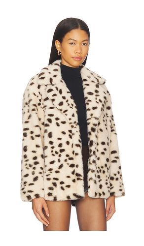 Teddy Coat in . Size S. Also in XS, M - BLANKNYC - Modalova
