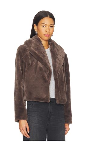 Cropped Faux Fur Coat in . Size S. Also in M, L - BLANKNYC - Modalova