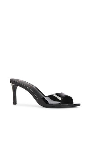 SUEDE STUDIO Freddie 65 Mule in . Size 35. Also in 36, 37, 38 - BLACK SUEDE STUDIO - Modalova