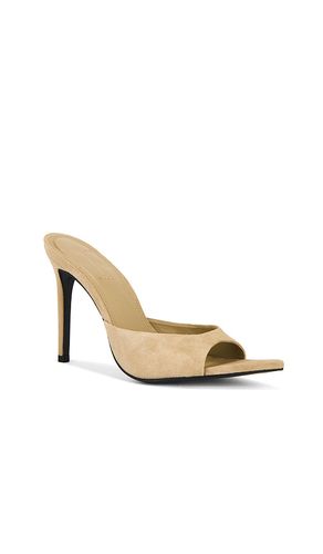 Brea Mule in . Size 36. Also in 38 - BLACK SUEDE STUDIO - Modalova