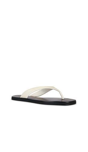 Bae Sandal in . Taglia 36. Also in 37.5 - BLACK SUEDE STUDIO - Modalova