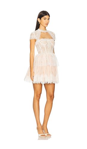 Daphne Mini Dress in . Size S. Also in M, L - Bronx Banco - Modalova