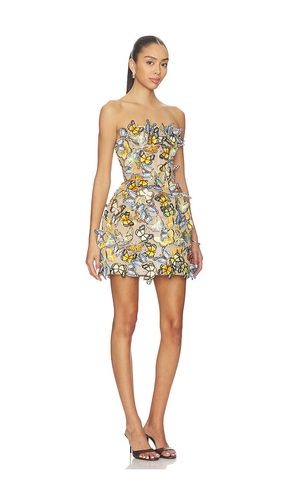 Bella Butterfly Maraya Strapless Mini Dress in . Size M. Also in S - Bronx Banco - Modalova