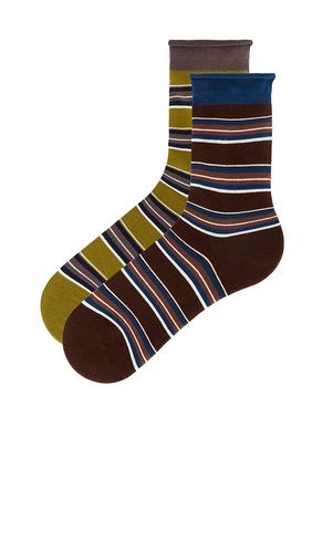 Poco Sock Set in - Casa Clara - Modalova