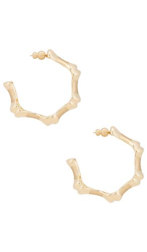 Bambu Hoop Earrings in - Cult Gaia - Modalova