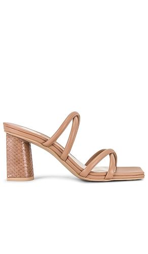 Sandalia patsi en color bronce talla 10 en - Tan. Talla 10 (también en 6.5, 7.5, 8, 8.5, 9, 9.5) - Dolce Vita - Modalova