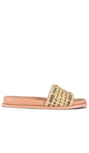 Pasador gwenn en color neutral talla 10 en - Neutral. Talla 10 (también en 6, 6.5, 7, 7.5, 8, 8.5, 9, 9.5) - Dolce Vita - Modalova