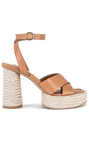 Tacón arlow en color cognac talla 10 en - Cognac. Talla 10 (también en 8, 8.5, 9, 9.5) - Dolce Vita - Modalova