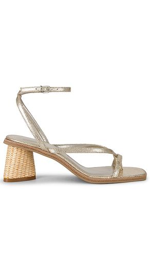 Banita Sandal in . Size 6.5, 7 - Dolce Vita - Modalova