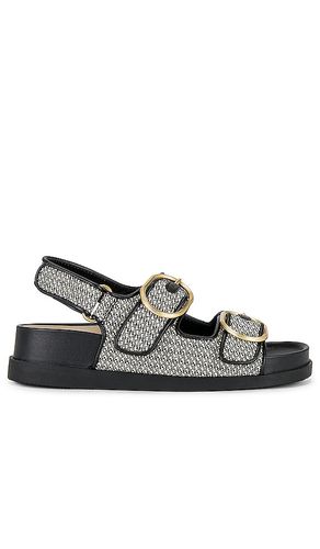 Starla sandal in color black size 10 in - Black. Size 10 (also in 6, 6.5, 7.5, 8, 8.5, 9, 9.5) - Dolce Vita - Modalova