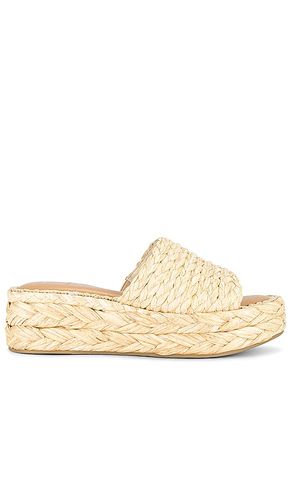 Chavi Sandal in . Size 8.5 - Dolce Vita - Modalova