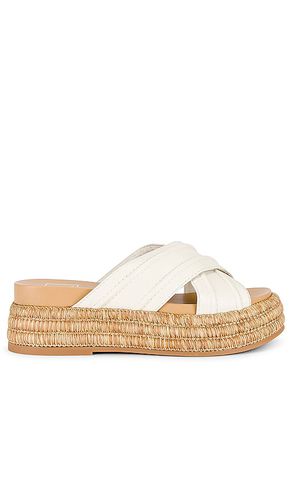 Weslee Sandal in . Size 5.5 - Dolce Vita - Modalova