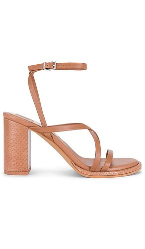 Barly sandal in color tan size 10 in - Tan. Size 10 (also in 6, 6.5, 7, 8, 8.5, 9.5) - Dolce Vita - Modalova