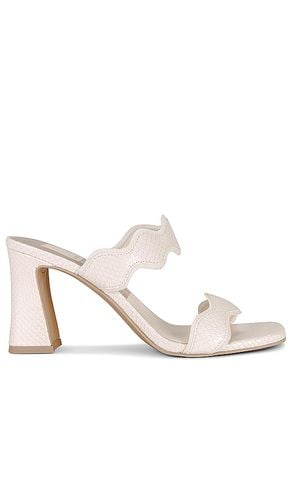 Ilva Sandal in . Taglia 6.5, 8.5, 9.5 - Dolce Vita - Modalova