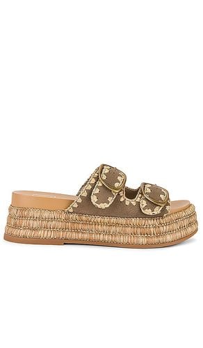 Wanika Sandal in . Taglia 8.5 - Dolce Vita - Modalova