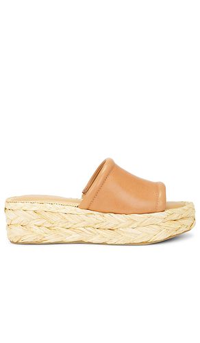 Chavi sandal in color tan size 10 in - Tan. Size 10 (also in 6, 6.5, 7, 7.5, 8, 8.5, 9, 9.5) - Dolce Vita - Modalova
