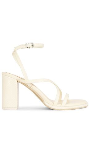 Barly Sandal in . Taglia 8.5, 9.5 - Dolce Vita - Modalova