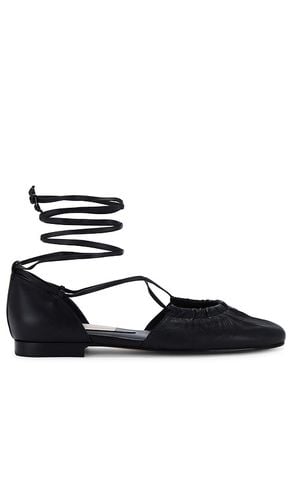 Zapato plano cancun en color negro talla 6.5 en - Black. Talla 6.5 (también en 7, 7.5, 8.5) - Dolce Vita - Modalova