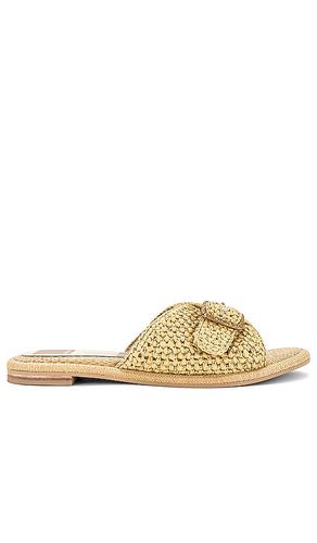 Alonzo raffia sandal in color tan size 6 in - Tan. Size 6 (also in 6.5) - Dolce Vita - Modalova