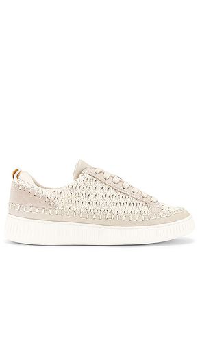 Nicona Sneaker in . Taglia 6.5, 7 - Dolce Vita - Modalova