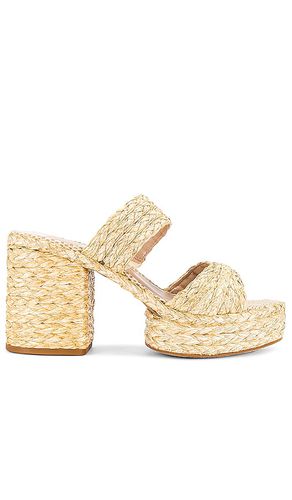 Latoya Sandal in . Size 8, 9, 9.5 - Dolce Vita - Modalova