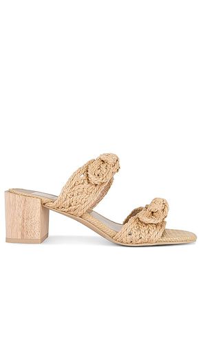 Zemmie Sandal in . Size 6.5, 7.5, 8.5 - Dolce Vita - Modalova