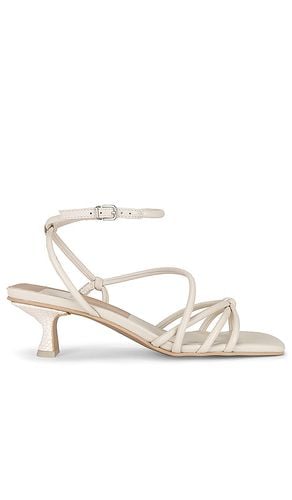 Bev Sandal in . Size 6.5 - Dolce Vita - Modalova