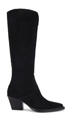 Bota raj en color negro talla 10 en - Black. Talla 10 (también en 8.5, 9, 9.5) - Dolce Vita - Modalova