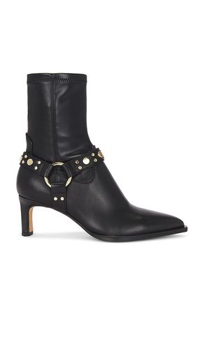 Bota arya harness en color talla 10 en - Black. Talla 10 (también en 6, 6.5, 7, 7.5, 8, 8.5, 9, 9.5) - Dolce Vita - Modalova