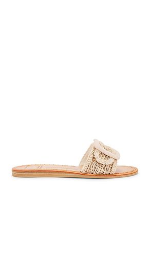 Dilly Sandal in . Size 6, 6.5, 7, 7.5, 8, 8.5, 9, 9.5 - Dolce Vita - Modalova