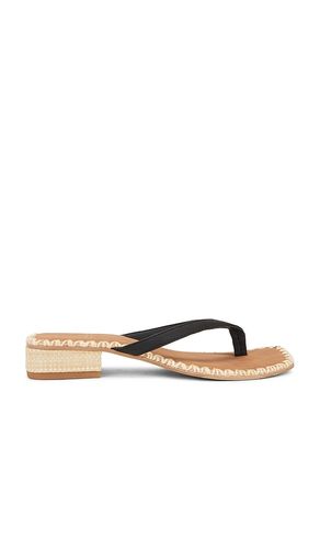 Barty Sandal in . Size 6, 6.5, 7.5, 8.5, 9.5 - Dolce Vita - Modalova