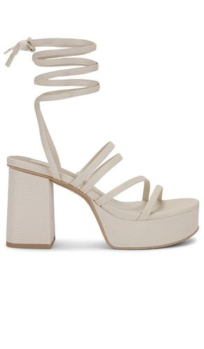 Barbs Sandal in . Taglia 9 - Dolce Vita - Modalova