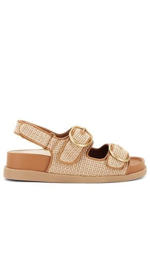 Sandalia starla en color beige talla 7.5 en - Beige. Talla 7.5 (también en 9, 9.5) - Dolce Vita - Modalova