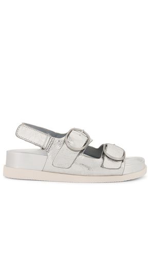 Starla Sandal in . Taglia 6.5, 7, 7.5, 8, 8.5, 9 - Dolce Vita - Modalova