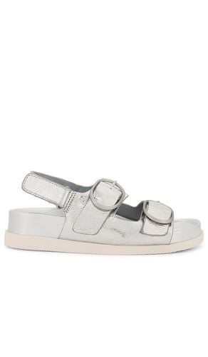 Starla Sandal in . Taglia 7, 7.5, 8, 8.5, 9 - Dolce Vita - Modalova