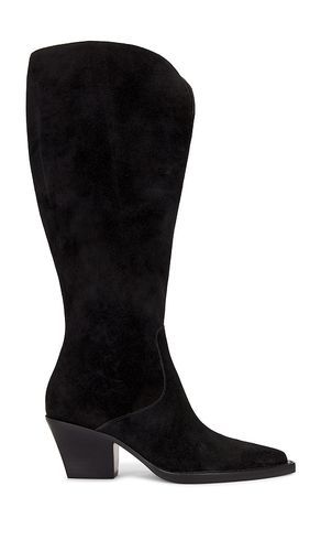 Raj Wide Calf Boot in . Size 6.5, 7.5, 8, 8.5 - Dolce Vita - Modalova