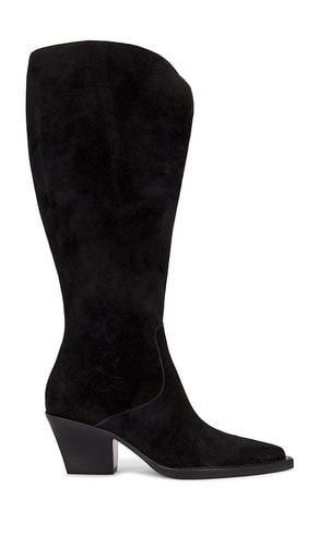 Raj Wide Calf Boot in . Size 6.5, 7, 7.5, 8, 8.5 - Dolce Vita - Modalova