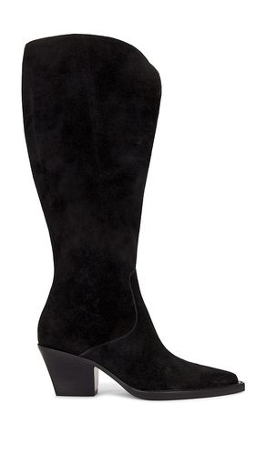 Raj Wide Calf Boot in . Taglia 6.5, 8, 8.5 - Dolce Vita - Modalova