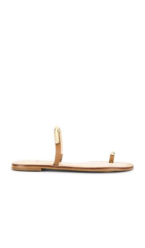 Wink Sandal in . Size 6.5, 7, 7.5, 8, 8.5, 9, 9.5 - Dolce Vita - Modalova