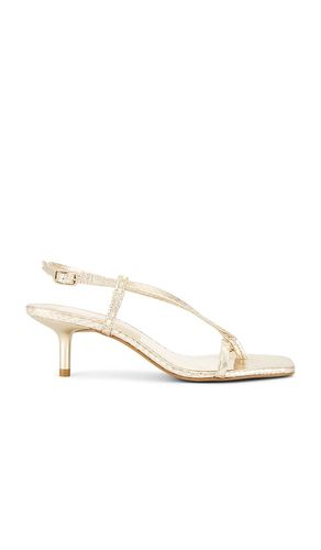 Laury Sandal in . Size 6.5, 7, 7.5, 8, 8.5, 9, 9.5 - Dolce Vita - Modalova